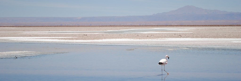 Salar de atacana