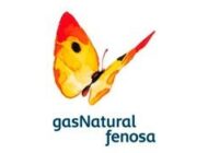 Condorchem Envitech - Gas Natural Fenosa
