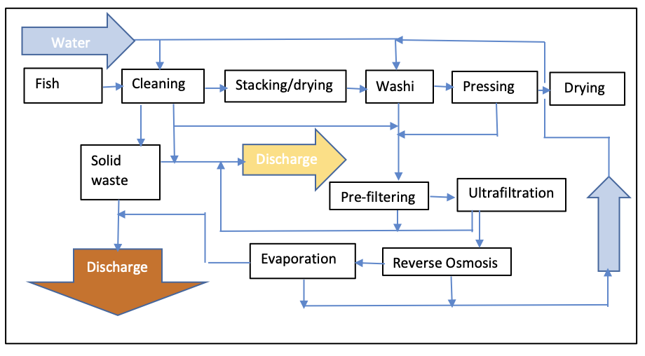 Flow diagram for fish salting industry