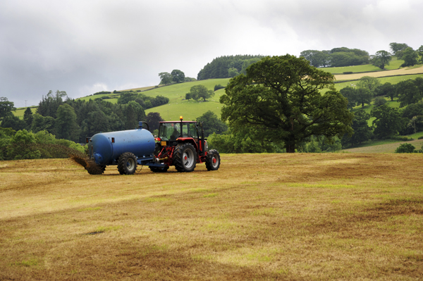 Production of organic fertilizers from animal droppings