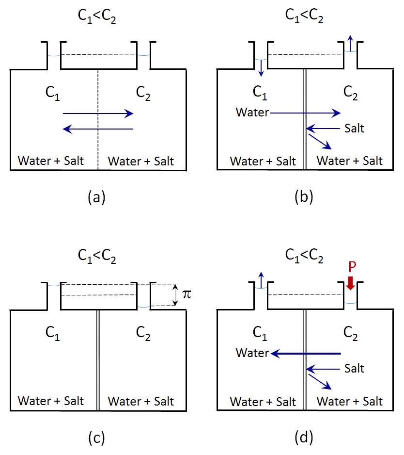 5. Reverse Osmosis and Electrodialysis for Wastewater Treatment