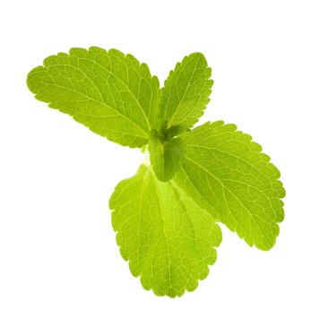 STEVIA proceso industrial para la extracción y producción de edulcorante natural.