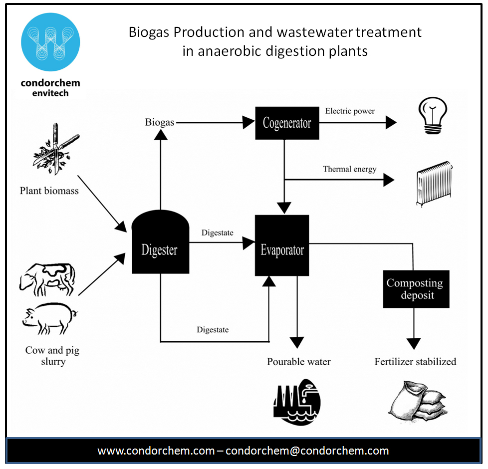 biogas production