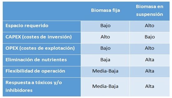biomasa fija vs biomasa en suspensión