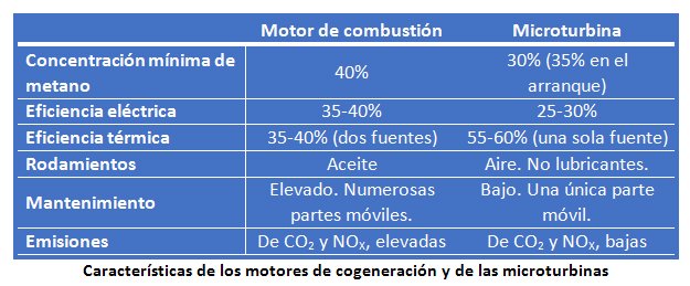 Características motores cogeneracion