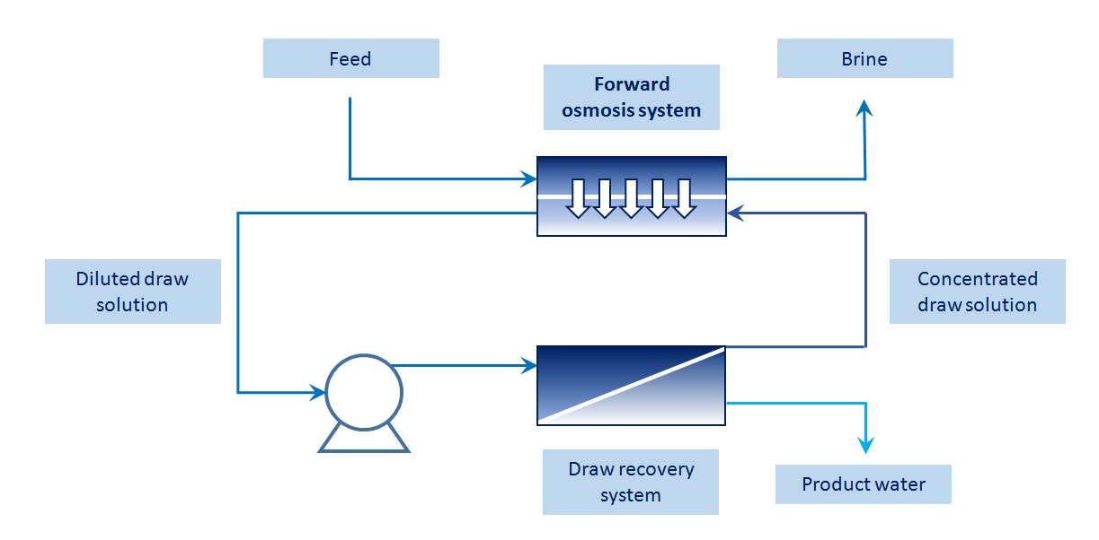 forward osmosis diagram