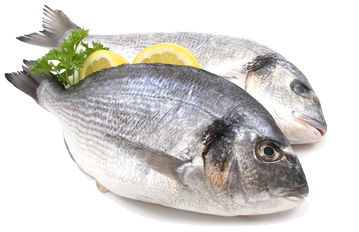Vertido cero y valorización de residuos en salazón de pescados y cocido de  mariscos | Condorchem Envitech