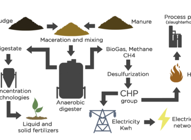 manure and digestate treatment