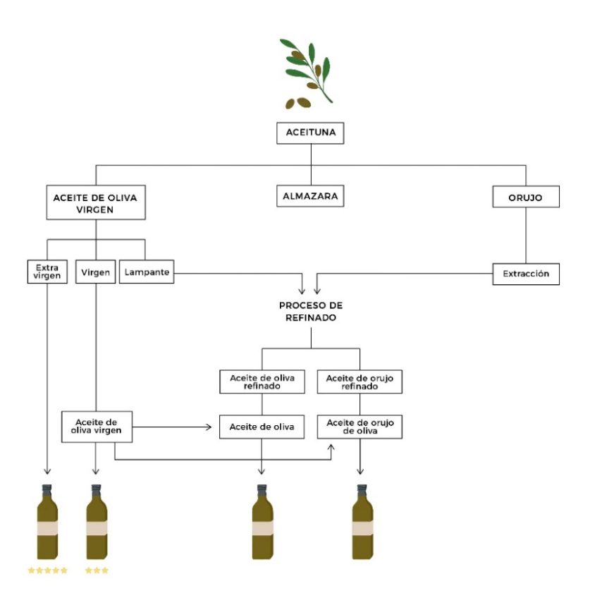 Diagram of olive oil production process