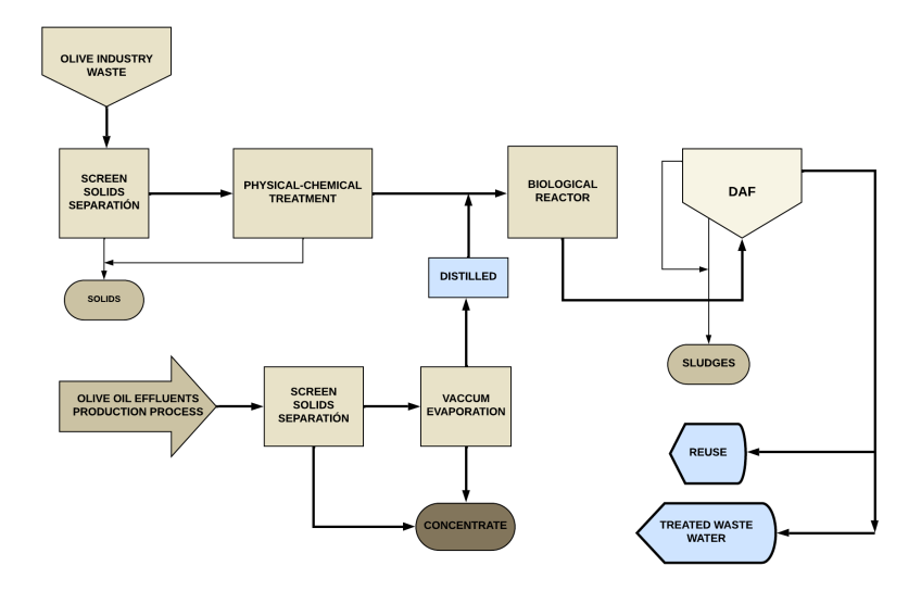 Diagram of effluent treatment in the olive industry